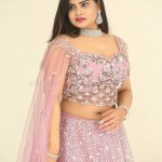 Actress Alekhya at King of Golkonda Movie Logo Launch Pictures 18 Actress Alekhya at King of Golkonda Movie Logo Launch Pictures 18
