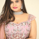 Actress Alekhya at King of Golkonda Movie Logo Launch Pictures 20 Actress Alekhya at King of Golkonda Movie Logo Launch Pictures 20