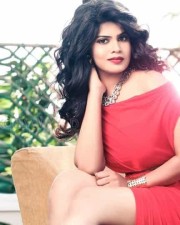 Actress Alekya Sexy Spicy Photos 28