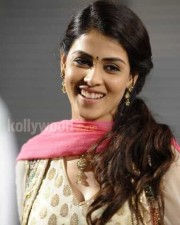 Actress Genelia Cute Sexy Pictures 14