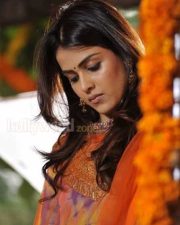 Actress Genelia Cute Sexy Pictures 15