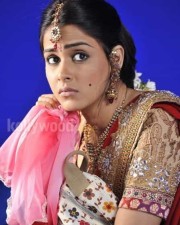 Actress Genelia Cute Sexy Pictures 26