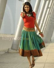 Actress Genelia Cute Sexy Pictures 50