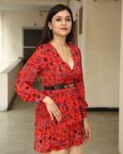 Actress Mannara Chopra At The Curtain Raiser Of Hi life Exhibition Photos 29 Actress Mannara Chopra At The Curtain Raiser Of Hi life Exhibition Photos 29
