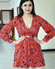 Actress Mannara Chopra At The Curtain Raiser Of Hi life Exhibition Photos 36