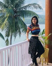Actress Mannara Chopra Holiday Photos 12