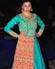 Actress Mannara Chopra Latest Pictures 27 Actress Mannara Chopra Latest Pictures 27