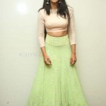 Actress Mrinalini Ravi At Gaddalakonda Ganesh Success Meet Photos 17 Actress Mrinalini Ravi At Gaddalakonda Ganesh Success Meet Photos 17