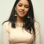 Actress Mrinalini Ravi At Gaddalakonda Ganesh Success Meet Photos 27 Actress Mrinalini Ravi At Gaddalakonda Ganesh Success Meet Photos 27
