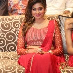 Actress Shalu Chourasiya at The Killer Movie Pre Release Event Photos 10 Actress Shalu Chourasiya at The Killer Movie Pre Release Event Photos 10