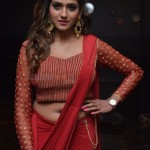 Actress Shalu Chourasiya at The Killer Movie Pre Release Event Photos 16 Actress Shalu Chourasiya at The Killer Movie Pre Release Event Photos 16