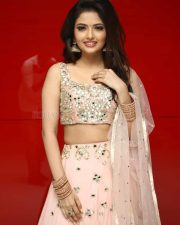 Actress Shirin Kanchwala At Nenjamundu Nermaiyundu Odu Raja Audio Launch Pictures 01