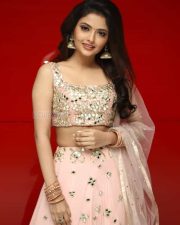 Actress Shirin Kanchwala At Nenjamundu Nermaiyundu Odu Raja Audio Launch Pictures 02