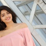 Actress Shirin Kanchwala At Pochampally Handloom Weavers Exhibition Launch Photos 02 Actress Shirin Kanchwala At Pochampally Handloom Weavers Exhibition Launch Photos 02