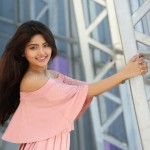 Actress Shirin Kanchwala At Pochampally Handloom Weavers Exhibition Launch Photos 03 Actress Shirin Kanchwala At Pochampally Handloom Weavers Exhibition Launch Photos 03