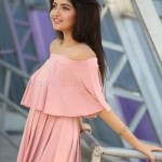 Actress Shirin Kanchwala At Pochampally Handloom Weavers Exhibition Launch Photos 05 Actress Shirin Kanchwala At Pochampally Handloom Weavers Exhibition Launch Photos 05
