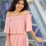 Actress Shirin Kanchwala At Pochampally Handloom Weavers Exhibition Launch Photos 07 Actress Shirin Kanchwala At Pochampally Handloom Weavers Exhibition Launch Photos 07