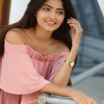 Actress Shirin Kanchwala At Pochampally Handloom Weavers Exhibition Launch Photos 12 Actress Shirin Kanchwala At Pochampally Handloom Weavers Exhibition Launch Photos 12
