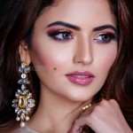 Beautiful Actress Shirin Kanchwala Latest Pictures 12 Beautiful Actress Shirin Kanchwala Latest Pictures 12
