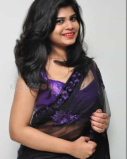 Sexy Telugu Actress Alekhya Saree Pictures 01
