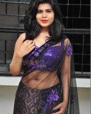 Sexy Telugu Actress Alekhya Saree Pictures 02