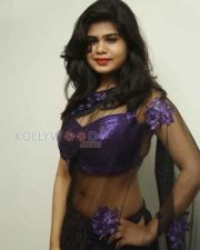 Sexy Telugu Actress Alekhya Saree Pictures 15