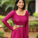 Actress Bhavana Vazhapandal at Pellikuturu Party Trailer Launch Pictures 11 Actress Bhavana Vazhapandal at Pellikuturu Party Trailer Launch Pictures 11
