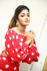 Actress Dimple Hayathi at Khiladi Movie Interview Photos 11