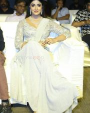 Actress Dimple Hayathi at Rama Banam Pre Release Event Pictures 01