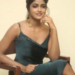 Actress Dimple Hayati At Gaddalakonda Ganesh Success Meet Photos 05 Actress Dimple Hayati At Gaddalakonda Ganesh Success Meet Photos 05