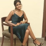Actress Dimple Hayati At Gaddalakonda Ganesh Success Meet Photos 07 Actress Dimple Hayati At Gaddalakonda Ganesh Success Meet Photos 07
