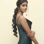 Actress Dimple Hayati At Gaddalakonda Ganesh Success Meet Photos 11 Actress Dimple Hayati At Gaddalakonda Ganesh Success Meet Photos 11