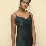 Actress Dimple Hayati At Gaddalakonda Ganesh Success Meet Photos 18 Actress Dimple Hayati At Gaddalakonda Ganesh Success Meet Photos 18