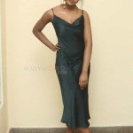 Actress Dimple Hayati At Gaddalakonda Ganesh Success Meet Photos 19 Actress Dimple Hayati At Gaddalakonda Ganesh Success Meet Photos 19