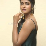 Actress Dimple Hayati At Gaddalakonda Ganesh Success Meet Photos 23 Actress Dimple Hayati At Gaddalakonda Ganesh Success Meet Photos 23