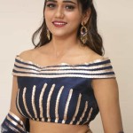 Actress Dollysha At Bhagya Nagara Veedhullo Gammathu Movie Pre Release Event Photos 16 Actress Dollysha At Bhagya Nagara Veedhullo Gammathu Movie Pre Release Event Photos 16