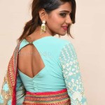 Actress Dollysha at Killer Movie Success Meet Pictures 01 Actress Dollysha at Killer Movie Success Meet Pictures 01