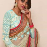 Actress Dollysha at Killer Movie Success Meet Pictures 09 Actress Dollysha at Killer Movie Success Meet Pictures 09