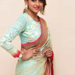 Actress Dollysha at Killer Movie Success Meet Pictures 24 Actress Dollysha at Killer Movie Success Meet Pictures 24
