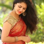 Actress Gayathri Suresh At Hero Heroine Teaser Launch Photos 04 Actress Gayathri Suresh At Hero Heroine Teaser Launch Photos 04