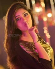 Actress Gayathri Suresh Photos 01