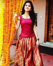 Actress Gayathri Suresh Photos 08