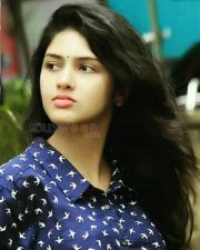 Actress Gayathri Suresh Photos 15