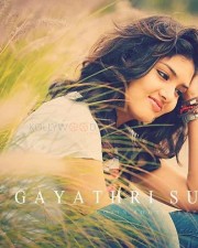 Actress Gayathri Suresh Photos 22