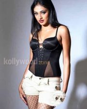 Actress Hari Priya Hot Spicy Photos 14