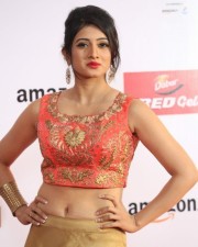 Actress Harshika Ponnachi Photos 36 Actress Harshika Ponnachi Photos 36