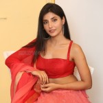 Actress Harshita Gaur At Q9 Fashion Studio Launch Photos 14 Actress Harshita Gaur At Q9 Fashion Studio Launch Photos 14