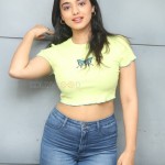 Actress Ketika Sharma at Romantic Movie Interview Photos 10 Actress Ketika Sharma at Romantic Movie Interview Photos 10