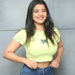 Actress Ketika Sharma at Romantic Movie Interview Photos 13 Actress Ketika Sharma at Romantic Movie Interview Photos 13