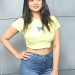 Actress Ketika Sharma at Romantic Movie Interview Photos 14 Actress Ketika Sharma at Romantic Movie Interview Photos 14